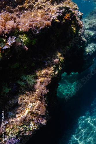 Mediterannean reef in Zakynthos, Greece