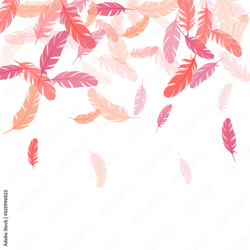Detailed majestic feather on white design. Detailed majestic feather on white design.