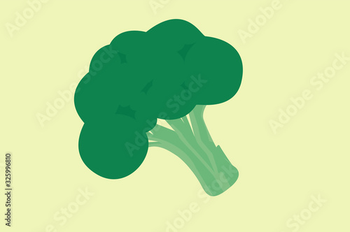 Vector Isolated Illustration of Broccoli 