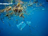 Plastic pollution in the ocean near Marsa Alam, Egypt