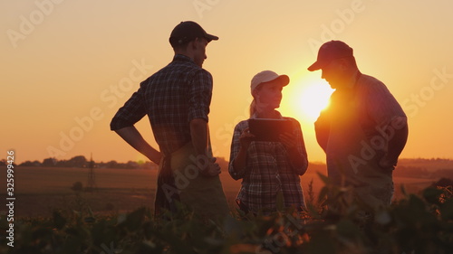 A group of farmers are discussing in the field, using a tablet. Two men and one woman. Team work in agribusiness photo