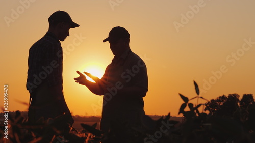 A farmer extends his hand for a handshake to a young worker. Standing on a field at sunset - agribusiness concept