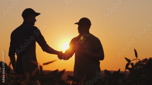 фотографія Two farmers talk on the field, then shake hands. Use a tablet