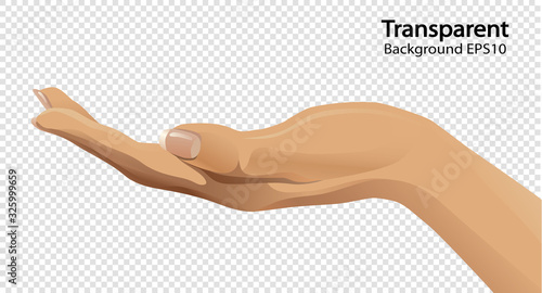 Human open hand on transparent background vector illustration. 