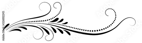 Decorative floral ornament for stencil isolated on white