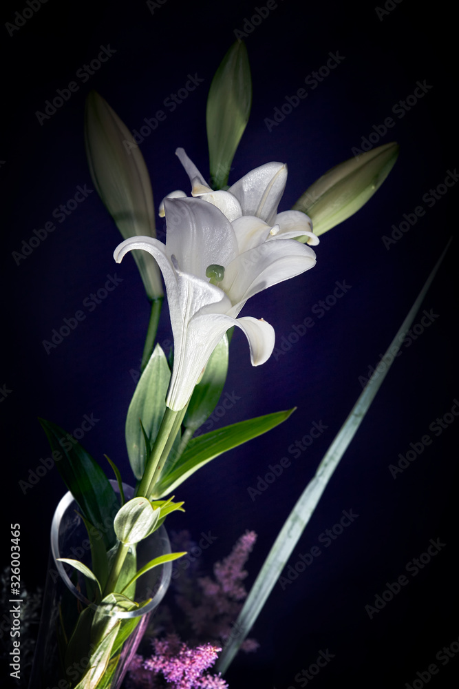 Fototapeta premium Bouquet with lily branch
