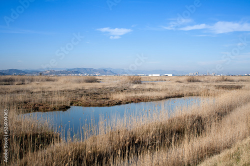 landscape of the Marjal del Moro  in Valencia