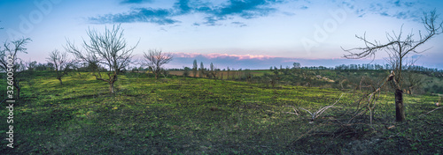 Spring landscape