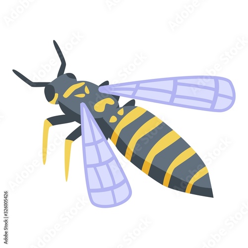 Wasp agression icon. Isometric of wasp agression vector icon for web design isolated on white background