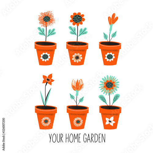 Gardening. Floriculture. Set of pots with flowers. Vector illustration on a white background.