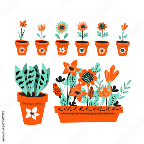 Gardening. Floriculture. Set of pots with flowers. Vector illustration on a white background.