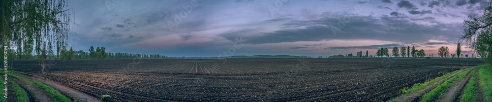 Fields landscape in summer sunset and sunrise