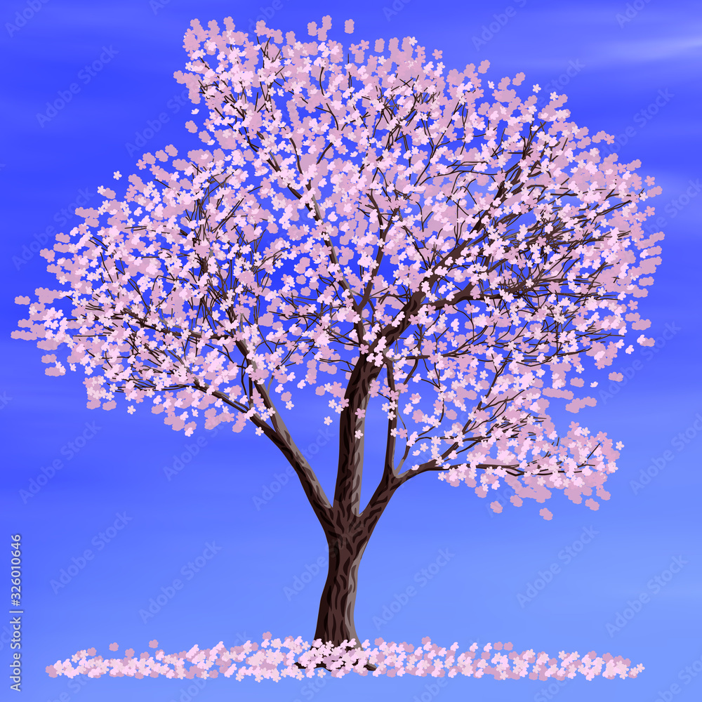 Japanese cherry blossoms, sakura. Cherry tree on a background of blue sky, illustration on the theme of spring.	