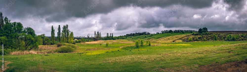 Fototapeta premium Fields landscape in summer sunset and sunrise