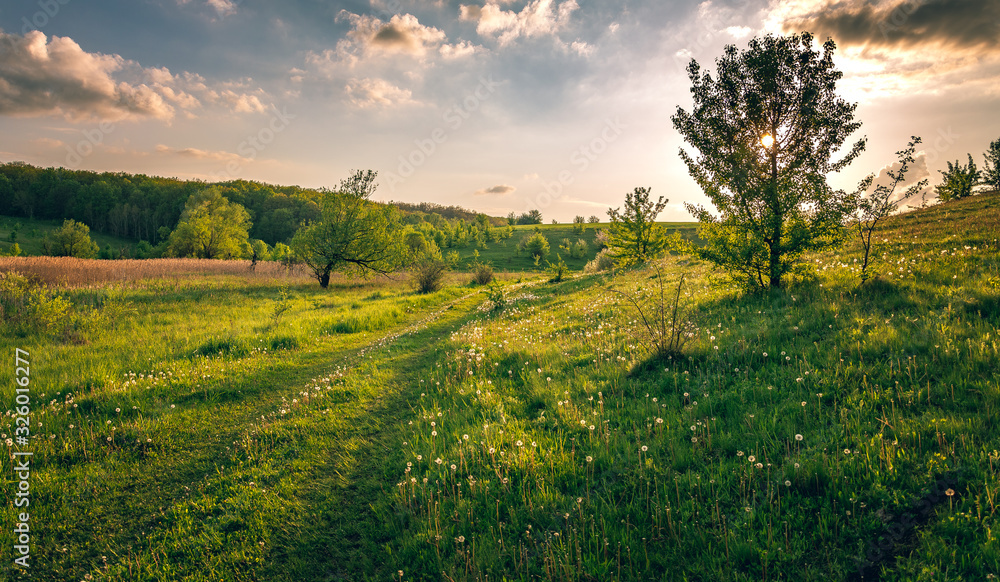 Fields landscape in summer sunset and sunrise