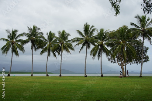 Palm tree bay, Port Douglas, Australia © Paulina