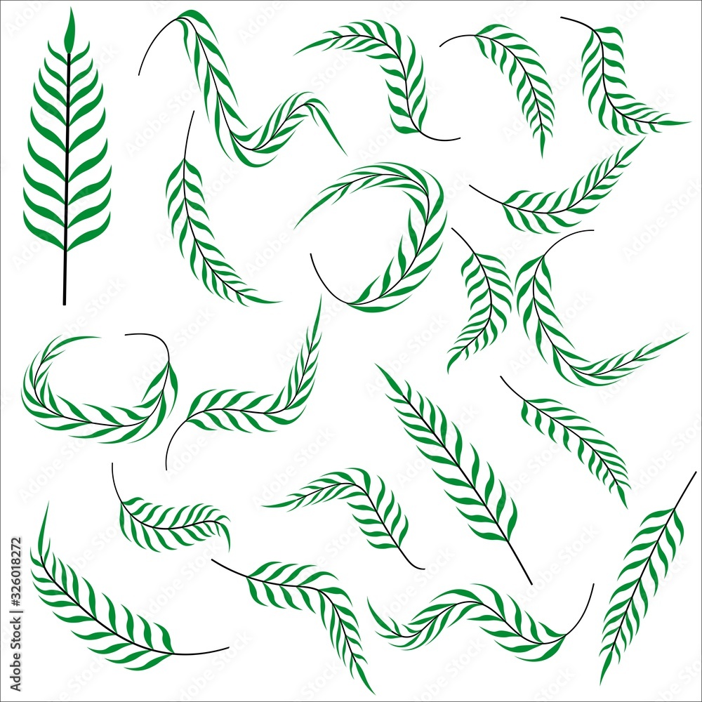 Set of cute little green leaves from different sides. Variants of one tropical leaf. Stock vector illustration for decoration and design, web pages, postcards, packaging, poster, fabrics, banner