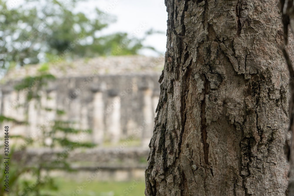Group of a Thousand Columns. Chichen Itza archaeological site. Architecture of ancient maya civilization. Travel photo or wallpaper. Yucatan. Mexico. Group of a Thousand Columns. Chichen Itza archaeological site. Architecture of ancient maya civilization. Travel photo or wallpaper. Yucatan. Mexico.