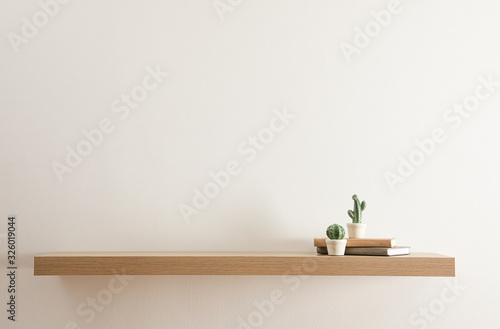 Fényképezés Wooden shelf with books and decorative cactuses on light wall
