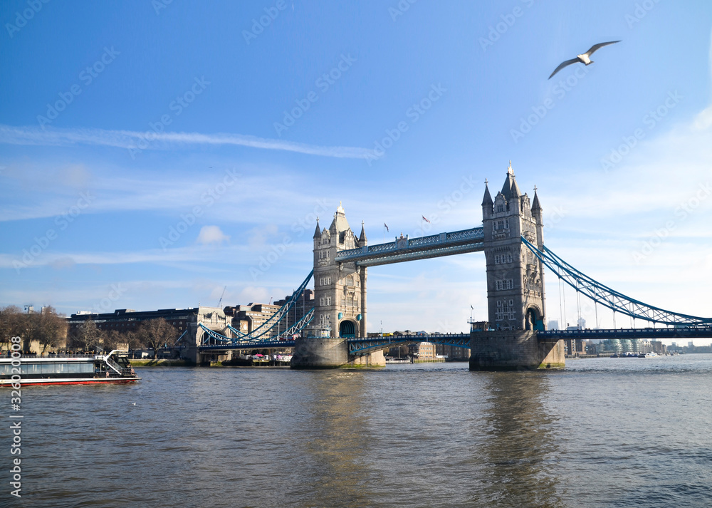 Obraz premium Tower bridge de Londres con ave