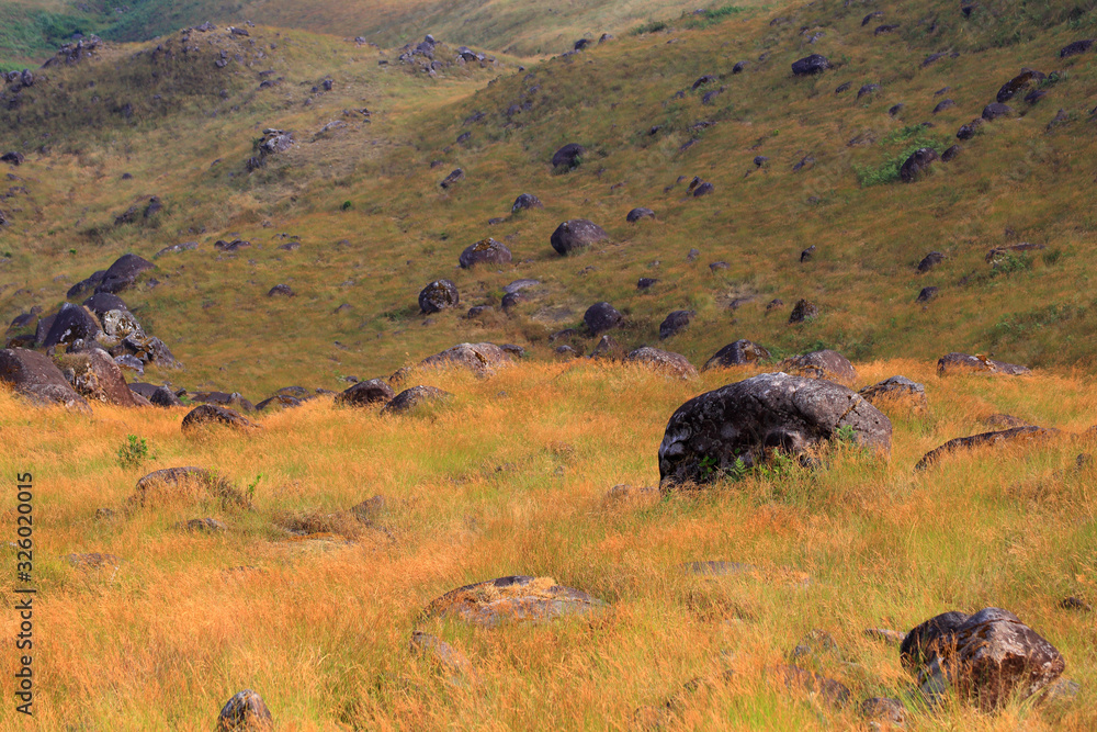 Obraz premium The meadow on the mountain in the evening there is sunshine.