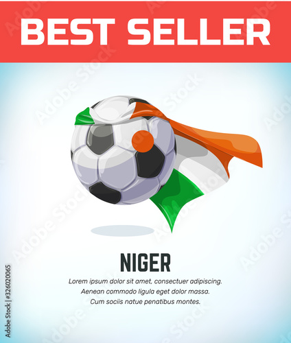 Niger , Nigerian football or soccer ball. Football national team. Vector illustration