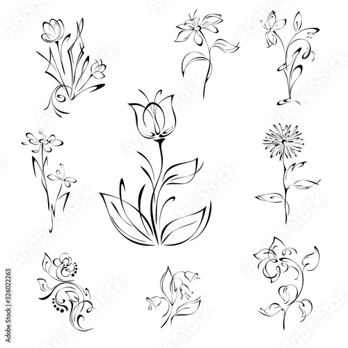 flowers 63. SET. stylized flowers on stems with leaves in black lines on white background. SET