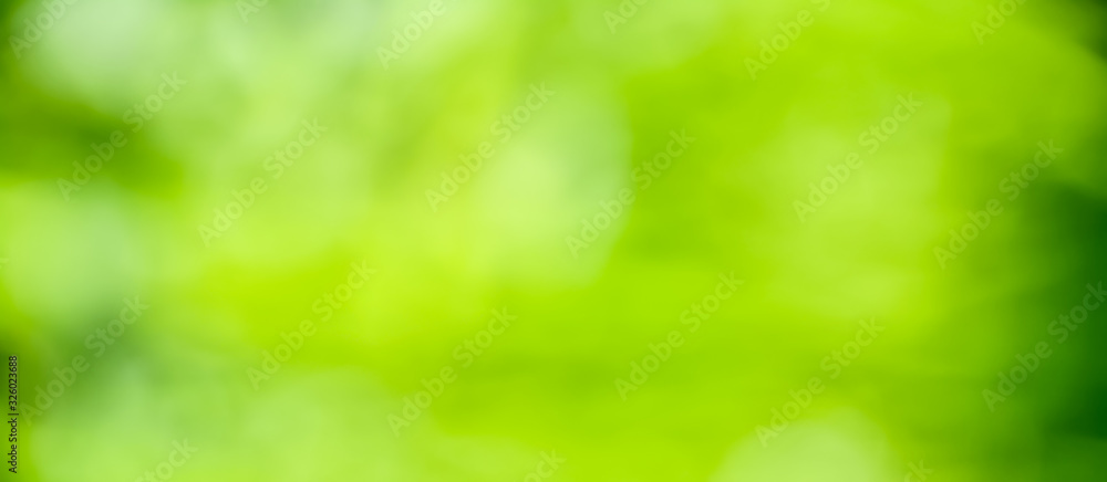  Spring background - abstract green background banner - obrazy, fototapety, plakaty 