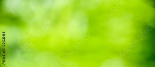  Spring background - abstract green background banner