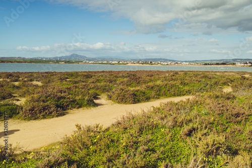 Salt lake Larnaca Cyprus