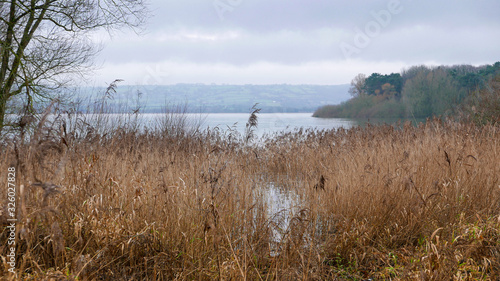 A view across Chew Valley Lake with grasses in foreground