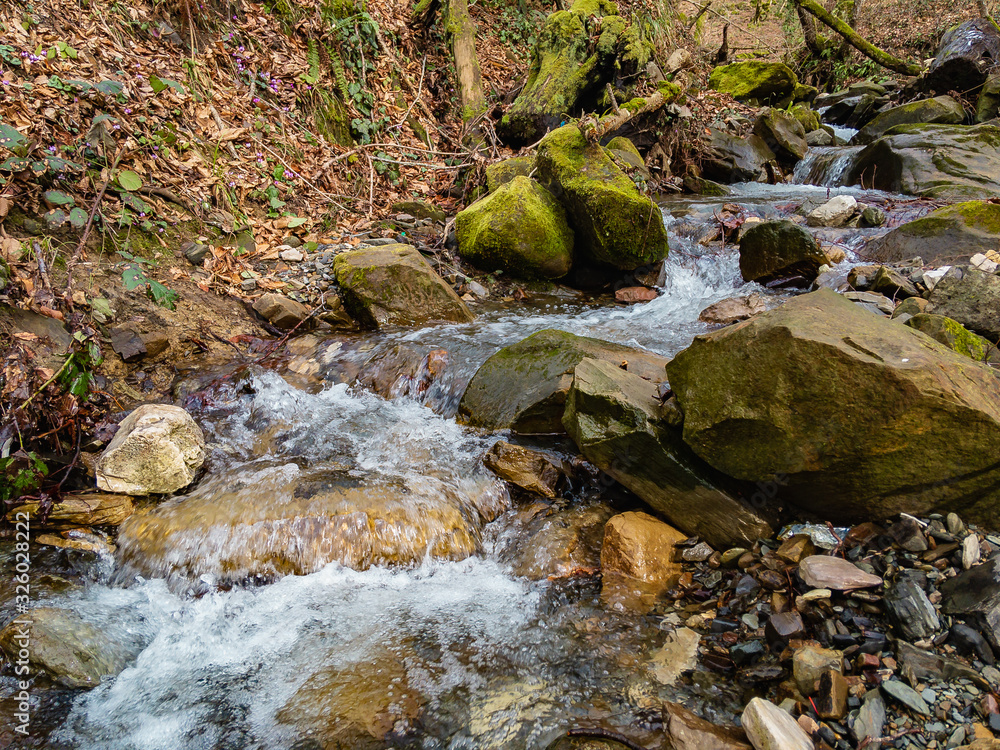 The water of a mountain stream flows among stones covered with green moss in a deciduous forest. The nature of the foothills of the North Caucasus.