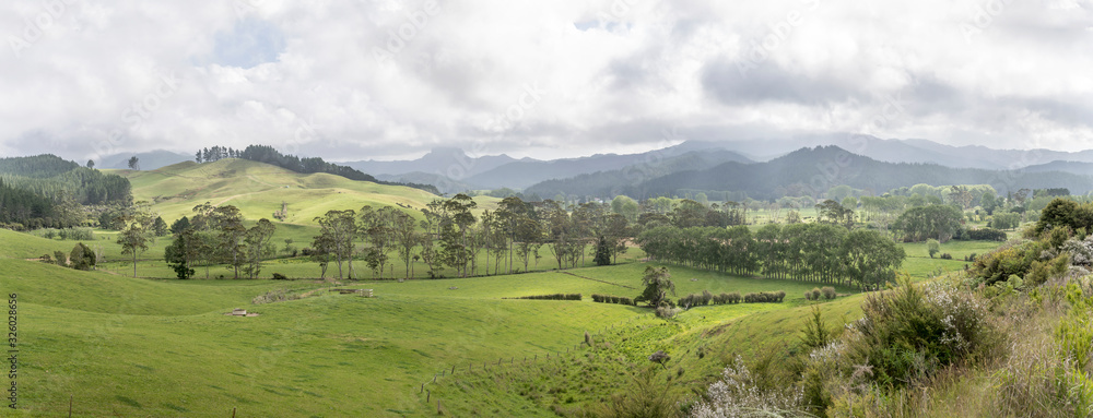 green hilly mild countryside landscape, near Coromandel, New Zealand