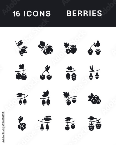 Set of Simple Icons of Berries © M.Style