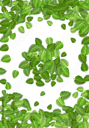 Flying green leaves on white background. Spring leaf vertical pattern on isolated backdrop. Fall fresh leaves plant. Vector illustration