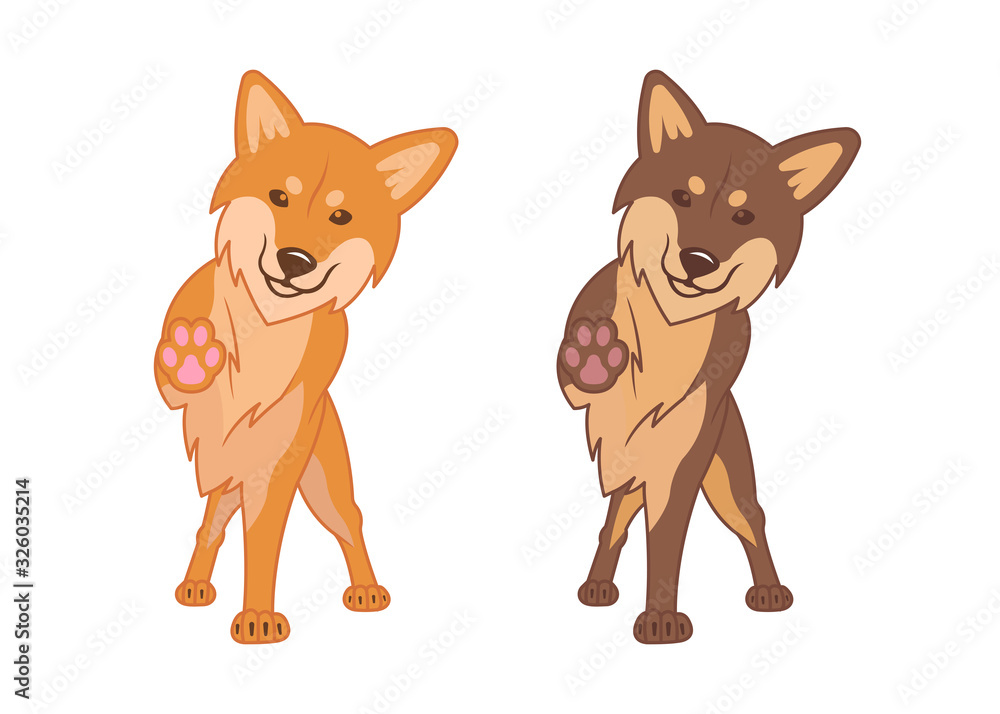 Shiba inu and Akita inu dogs. Shiba inu and Akita inu dogs.