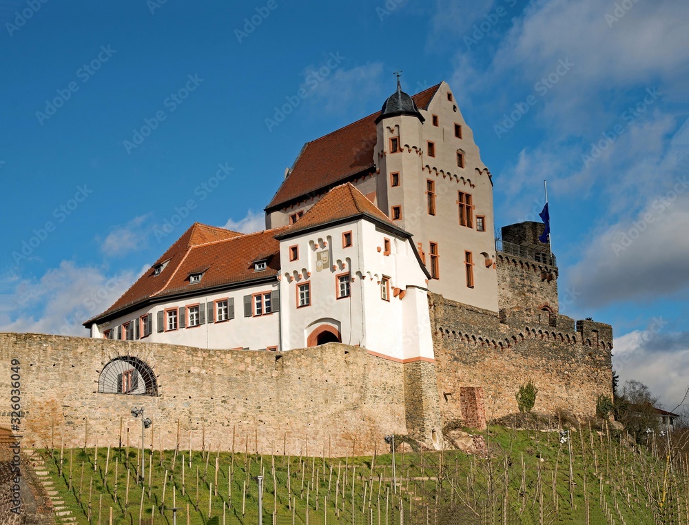 Die Burg Alzenau in Unterfranken in Bayern, Deutschland Die Burg Alzenau in Unterfranken in Bayern, Deutschland