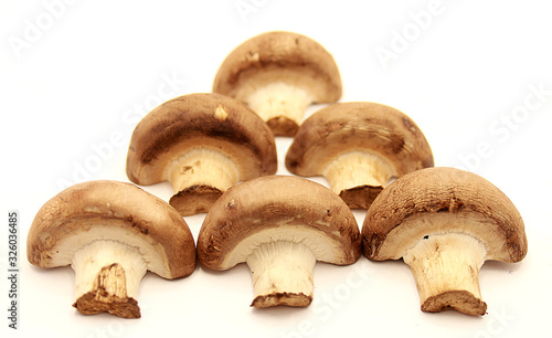 Composition of several royal champignons isolated on white background