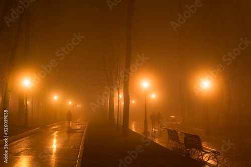 People park fog mist night