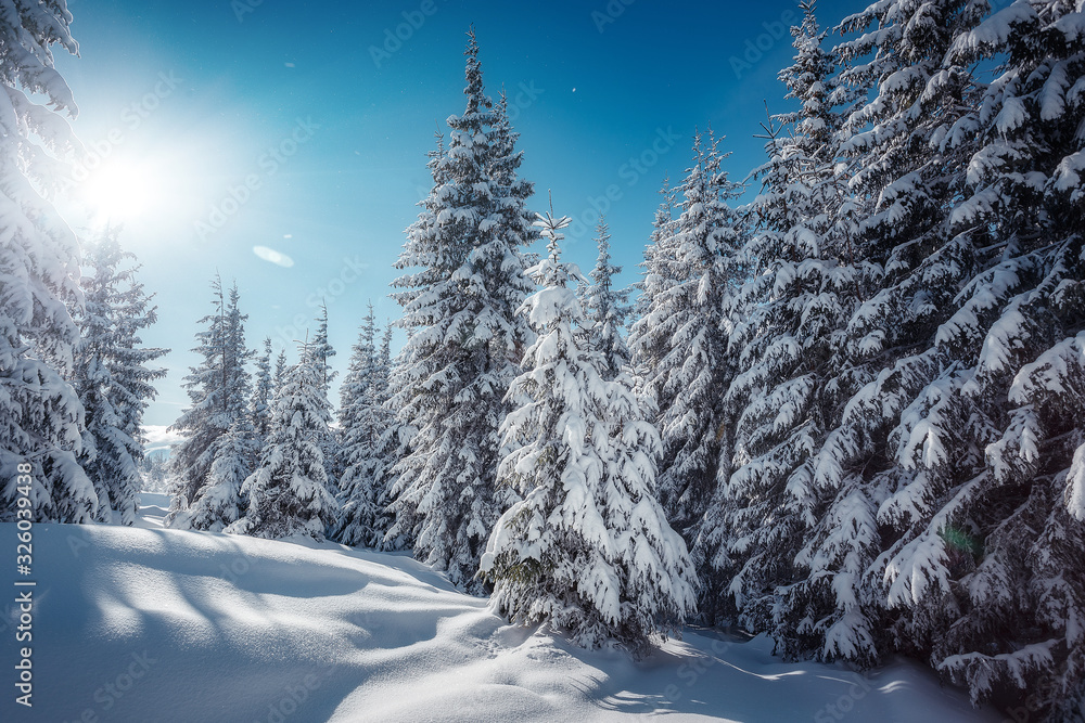 Fantastic winter forest landscape in the sunset. Icy snowy fir trees glowin in sunlight. winter holiday concept. travel day. wonderland in winter. instagram filter. retro style. creative image. - obrazy, fototapety, plakaty 