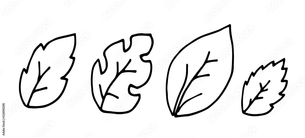 Fototapeta Hand drawn doodle of tree leaves. Simple thick black line. birch, palm and Hawaii leaves.