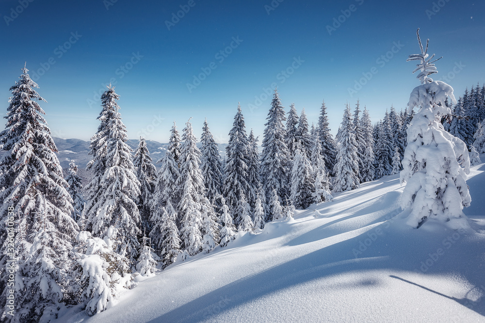 Fototapeta premium Wonderful Winter Landscape. Awesome Alpine Highlands in Sunny Day. Christmas holyday concept. Winter mountain forest. Snowy mountains and perfect blue sky. Amazing Nature background. postcard