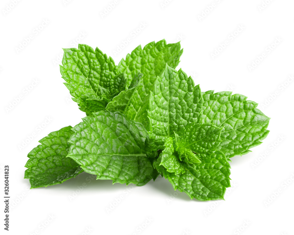 Fresh mint Fresh mint
