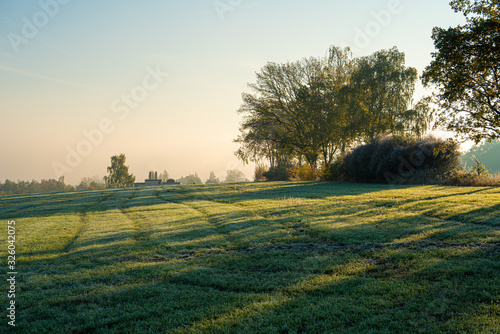Spring field near city an early morning