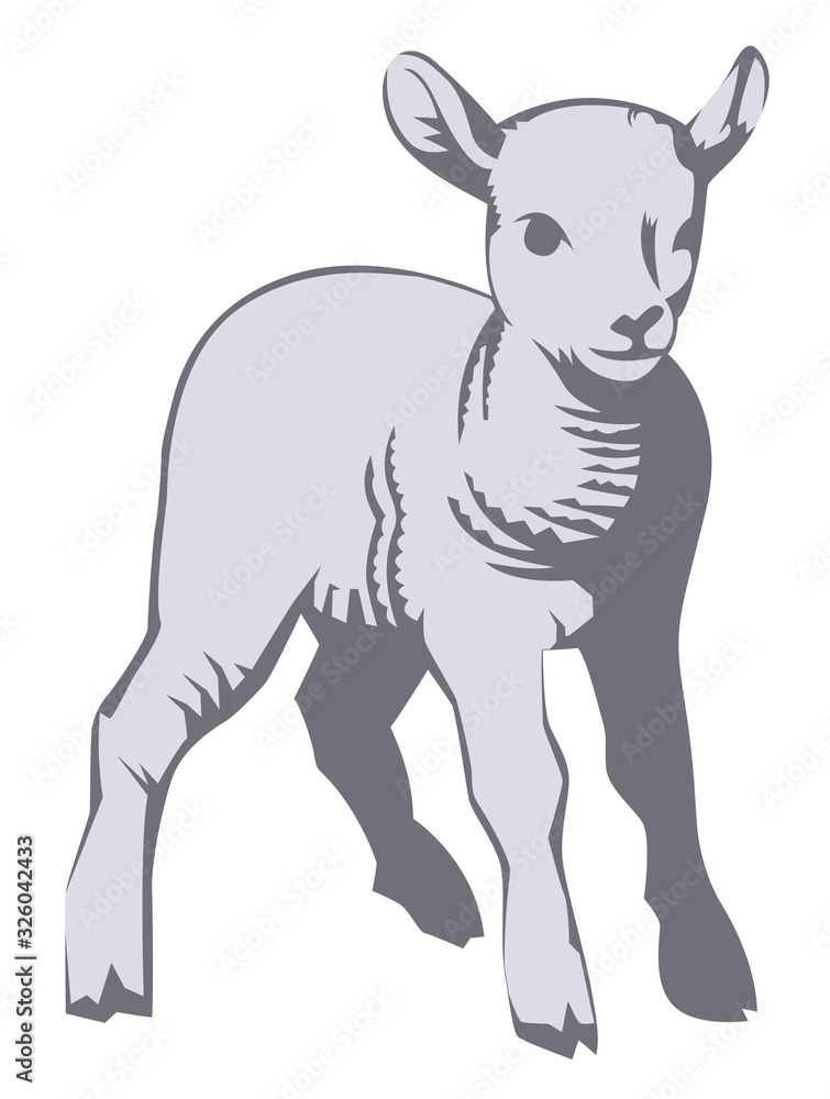 a vector illustration of a lamb