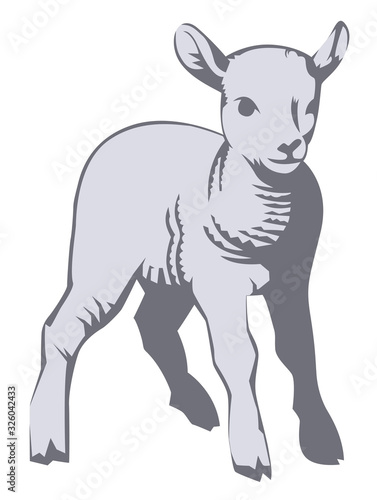 a vector illustration of a lamb
