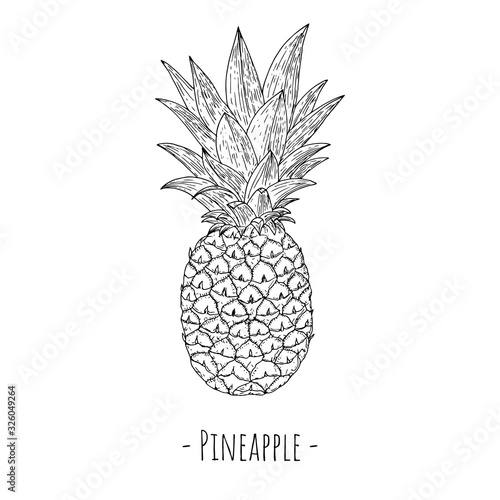 Pineapple. Vector cartoon illustration. Isolated object on a white background. Hand-drawn style.