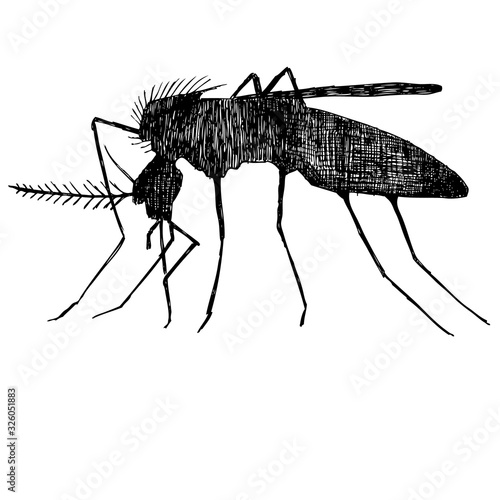 World Malaria Day, logo icon vector