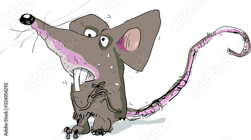 mouse  illustration