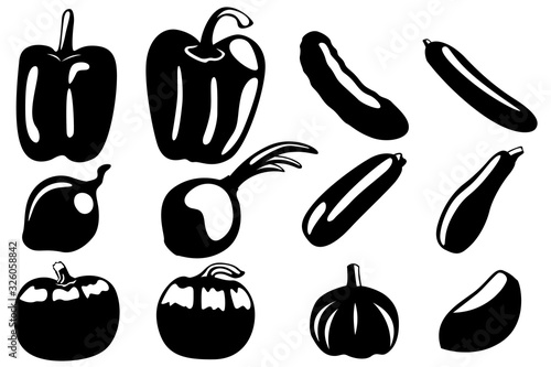 A set of twelve different vegetables. Pepper, zucchini, onion, cucumber, zucchini, garlic, etc.